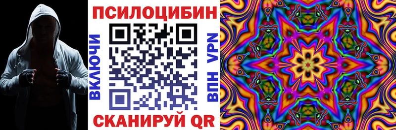 где купить наркоту  Зуевка  Галлюциногенные грибы GOLDEN TEACHER 
